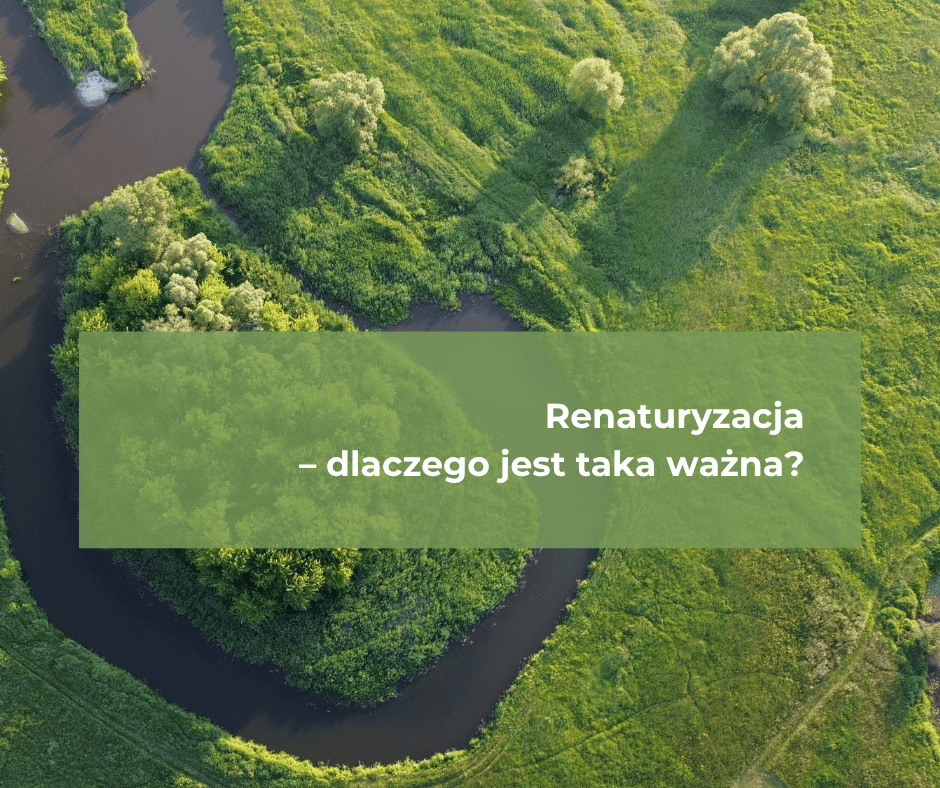 Naturalna Nida Dlaczego renaturyzacja Nidy jest tak ważna