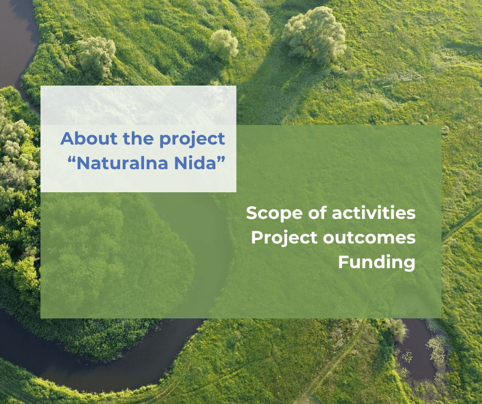 graphics for the NN website about the project