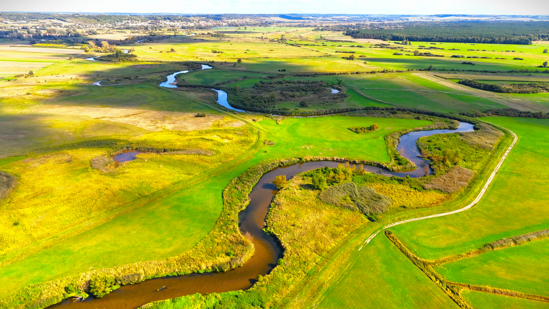 Naturalna Nida - Meandry rzeki Nidy wśród łąk – widok z drona